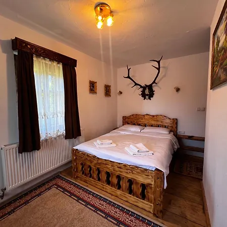 Case de vacanță Casuta Vanatorului